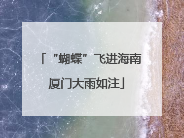 “蝴蝶”飞进海南 厦门大雨如注