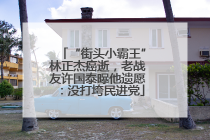 “街头小霸王”林正杰癌逝，老战友许国泰曝他遗愿：没打垮民进党