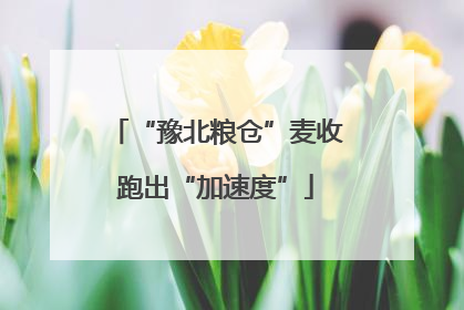 “豫北粮仓”麦收跑出“加速度”