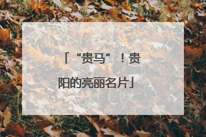 “贵马”！贵阳的亮丽名片