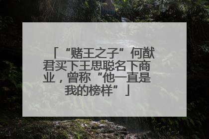 “赌王之子”何猷君买下王思聪名下商业，曾称“他一直是我的榜样”