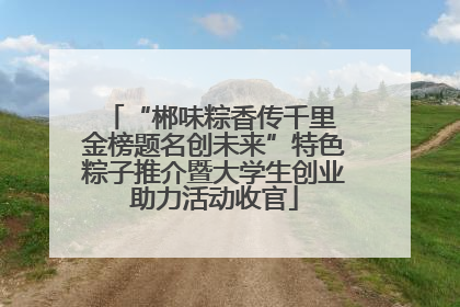 “郴味粽香传千里 金榜题名创未来”特色粽子推介暨大学生创业助力活动收官
