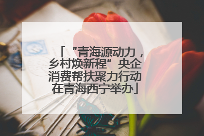 “青海源动力，乡村焕新程”央企消费帮扶聚力行动在青海西宁举办