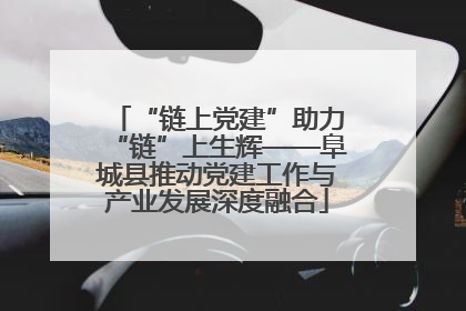 “链上党建”助力“链”上生辉——阜城县推动党建工作与产业发展深度融合