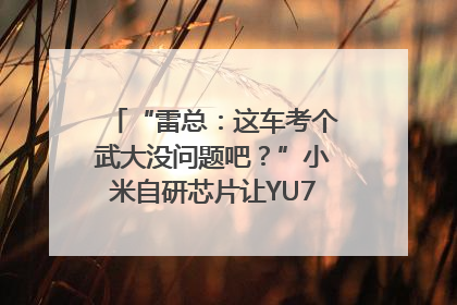 “雷总：这车考个武大没问题吧？”小米自研芯片让YU7会学习｜汽车科技