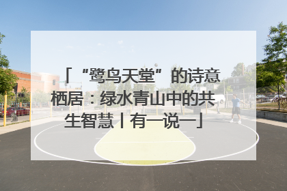 “鹭鸟天堂”的诗意栖居：绿水青山中的共生智慧丨有一说一