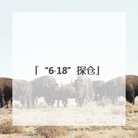 “6·18”探仓