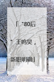 “80后”王鸣昊，新职明确