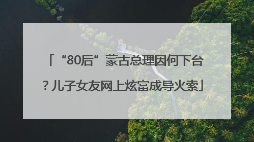 “80后”蒙古总理因何下台？儿子女友网上炫富成导火索