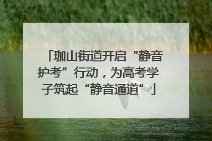 珈山街道开启“静音护考”行动，为高考学子筑起“静音通道”