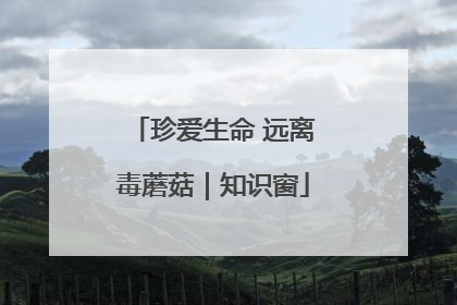 珍爱生命 远离毒蘑菇｜知识窗