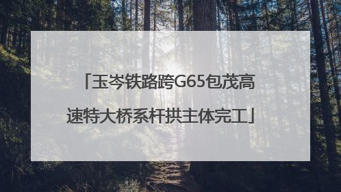 玉岑铁路跨G65包茂高速特大桥系杆拱主体完工
