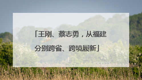 王刚、蔡志勇，从福建分别跨省、跨境履新