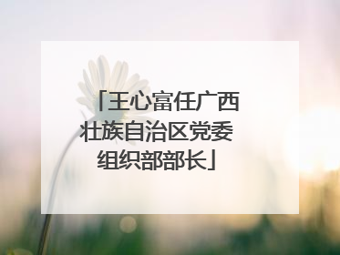 王心富任广西壮族自治区党委组织部部长