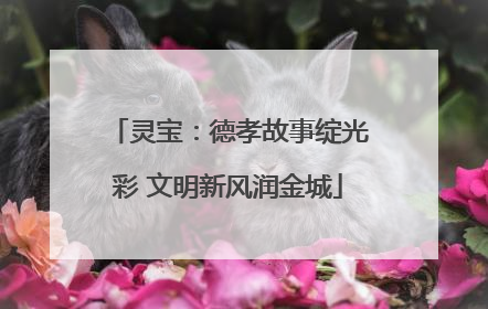 灵宝：德孝故事绽光彩 文明新风润金城