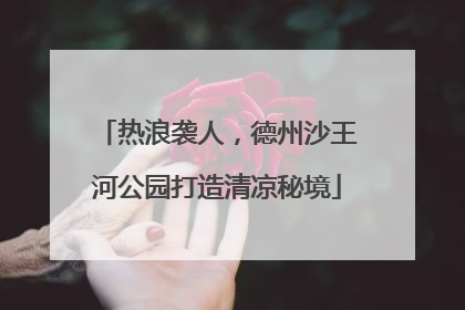 热浪袭人，德州沙王河公园打造清凉秘境