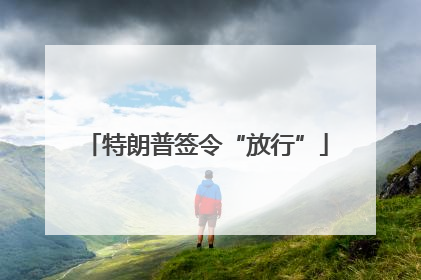 特朗普签令“放行”
