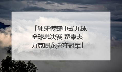 独牙传奇中式九球全球总决赛 楚秉杰力克周龙勇夺冠军