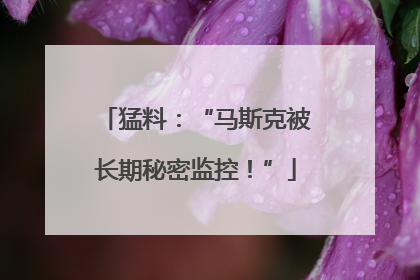 猛料：“马斯克被长期秘密监控！”