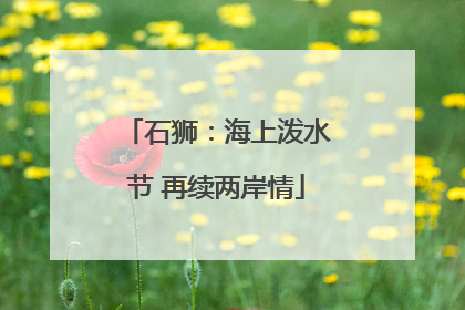 石狮：海上泼水节 再续两岸情