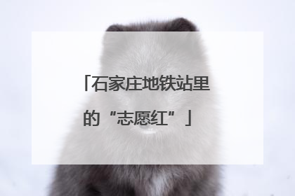 石家庄地铁站里的“志愿红”