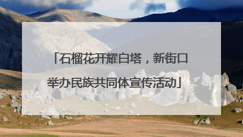 石榴花开耀白塔，新街口举办民族共同体宣传活动