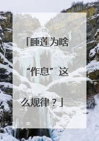 睡莲为啥“作息”这么规律？