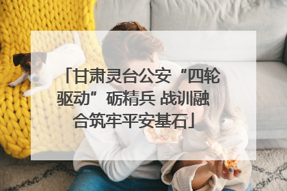 甘肃灵台公安“四轮驱动”砺精兵 战训融合筑牢平安基石