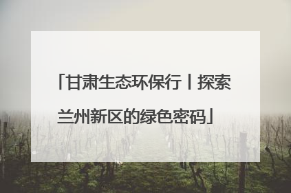 甘肃生态环保行丨探索兰州新区的绿色密码