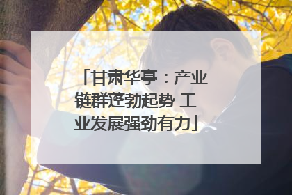 甘肃华亭：产业链群蓬勃起势 工业发展强劲有力