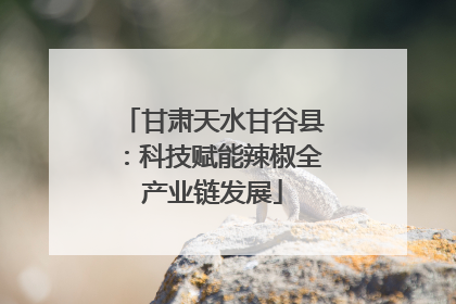 甘肃天水甘谷县：科技赋能辣椒全产业链发展