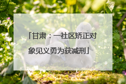甘肃：一社区矫正对象见义勇为获减刑