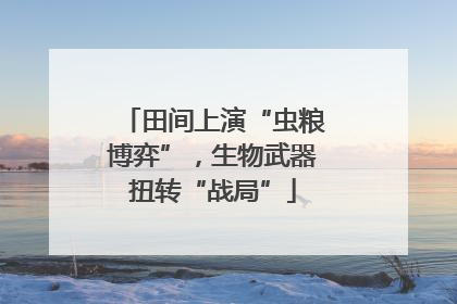田间上演“虫粮博弈”，生物武器扭转“战局”