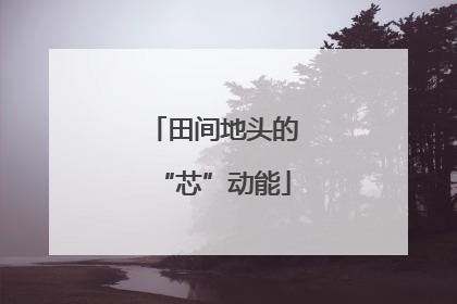 田间地头的“芯”动能
