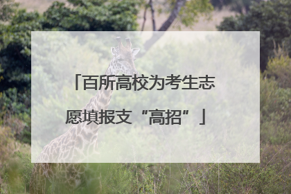 百所高校为考生志愿填报支“高招”
