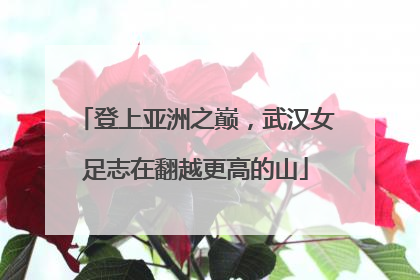 登上亚洲之巅，武汉女足志在翻越更高的山