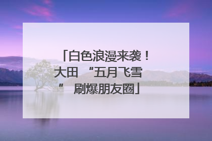 白色浪漫来袭！大田 “五月飞雪” 刷爆朋友圈