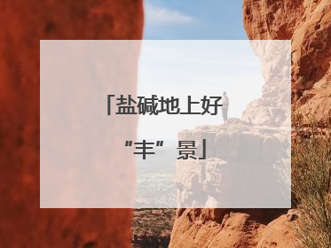 盐碱地上好“丰”景