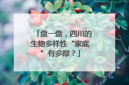 盘一盘，四川的生物多样性“家底”有多厚？