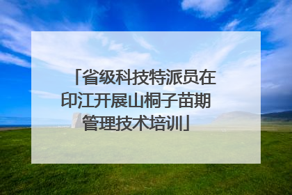 省级科技特派员在印江开展山桐子苗期管理技术培训