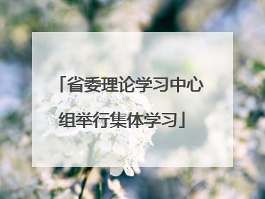 省委理论学习中心组举行集体学习
