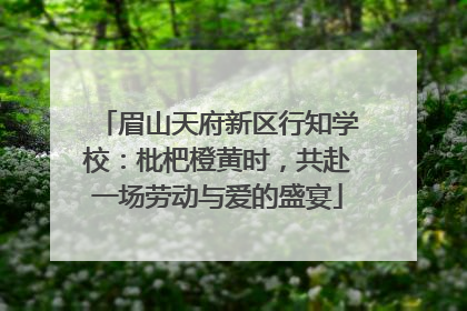眉山天府新区行知学校：枇杷橙黄时，共赴一场劳动与爱的盛宴