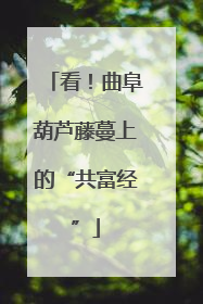 看！曲阜葫芦藤蔓上的“共富经”