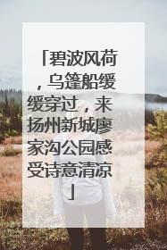 碧波风荷，乌篷船缓缓穿过，来扬州新城廖家沟公园感受诗意清凉