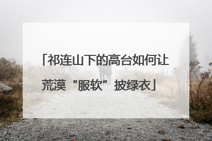 祁连山下的高台如何让荒漠“服软”披绿衣