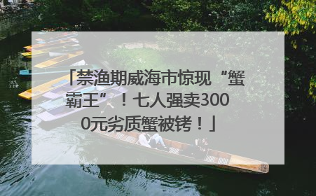 禁渔期威海市惊现“蟹霸王”！七人强卖3000元劣质蟹被铐！