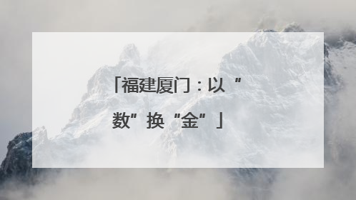 福建厦门：以“数”换“金”
