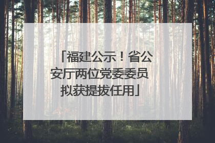 福建公示！省公安厅两位党委委员拟获提拔任用