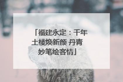 福建永定：千年土楼焕新颜 丹青妙笔绘客情