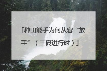 种田能手为何从容“放手”（三夏进行时）